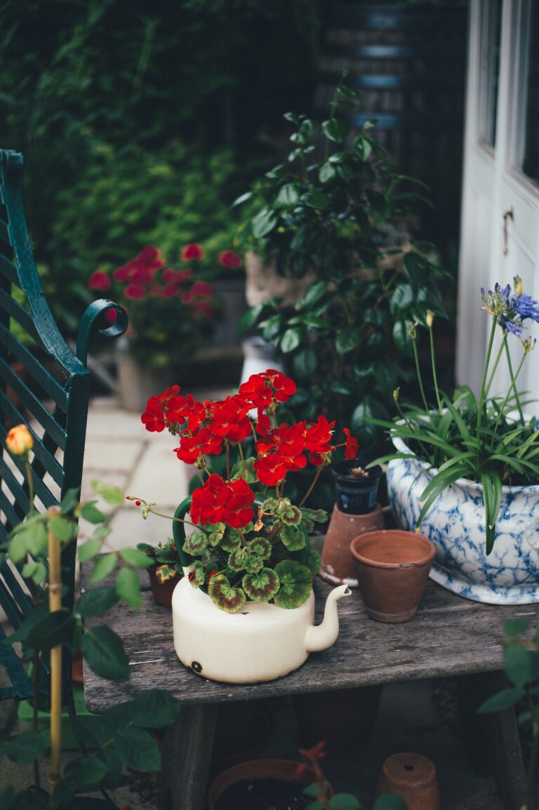 balconjardin