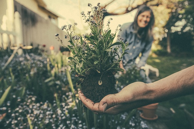 jardinage