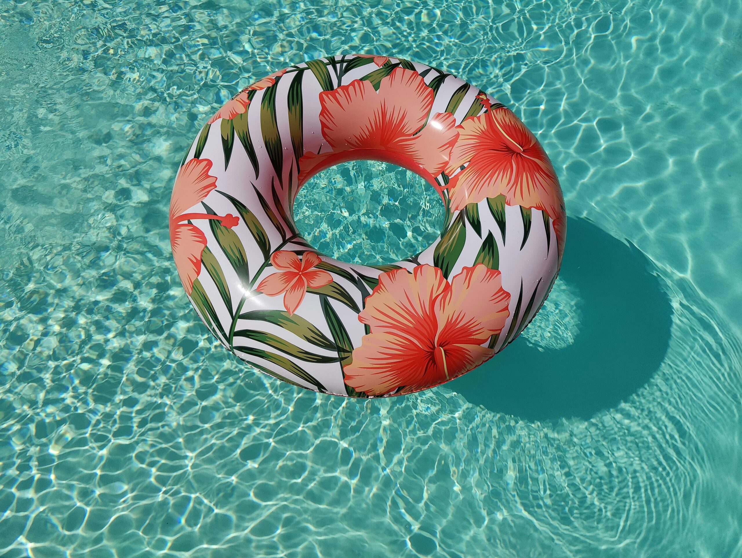 Piscine cour maison