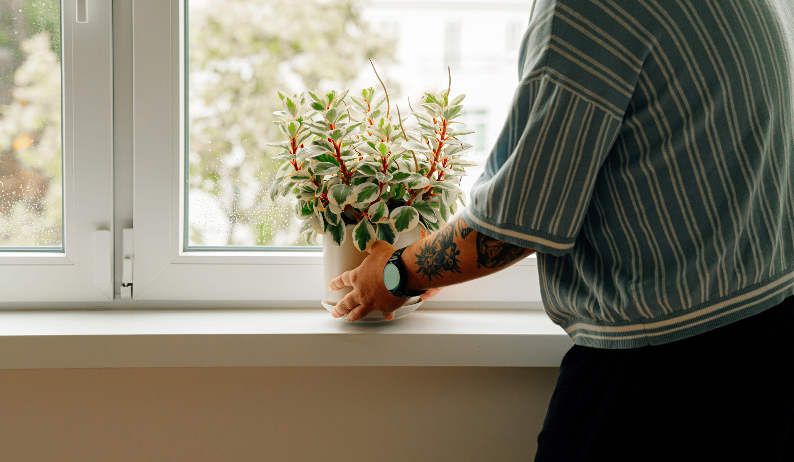 Home Staging